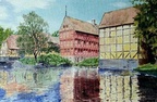 Tavlor